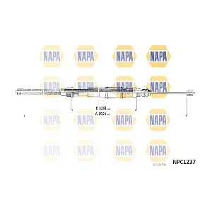 NAPA NPC1237