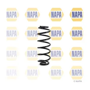 NCS1134 NAPA