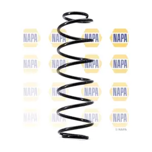 NCS1534 NAPA