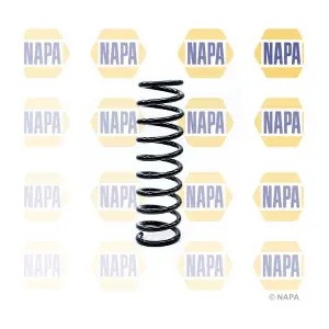 NCS1167 NAPA