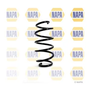 NCS1100 NAPA