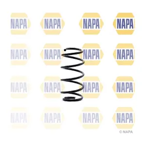 NAPA NCS1363