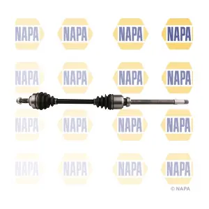 NDS1242R NAPA