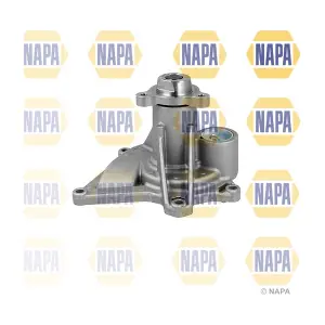 NWP1677 NAPA