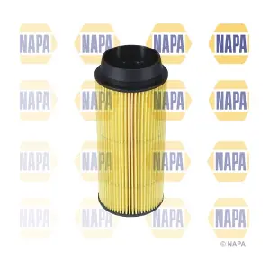 NAPA NFF2204