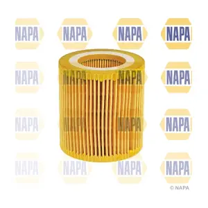 NFO3153 NAPA
