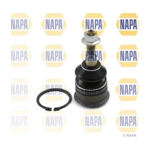 NAPA NST0343