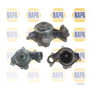 NWP1079 NAPA