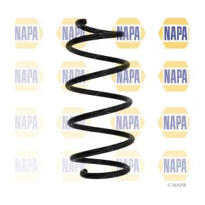 NCS1019 NAPA