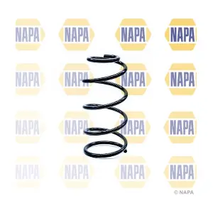 NCS1210 NAPA