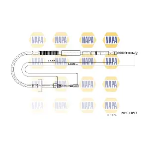 NPC1093 NAPA