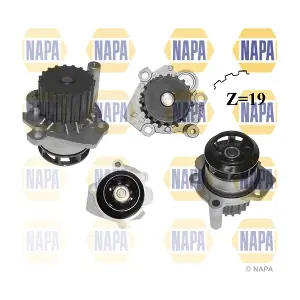 NWP1061 NAPA