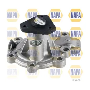 NAPA NWP1652