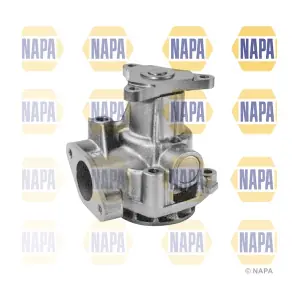 NAPA NWP1544