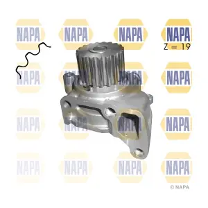 NAPA NWP1547