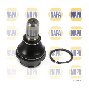 NST0310 NAPA