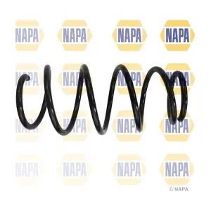 NCS1861 NAPA