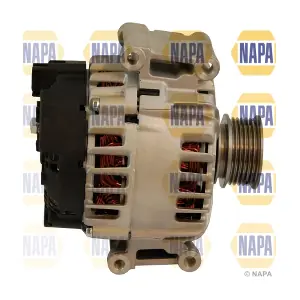 NAL1906 NAPA