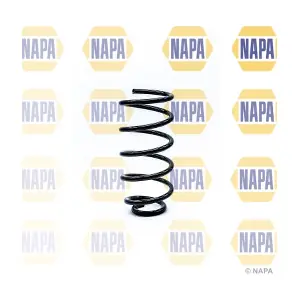NCS1204 NAPA