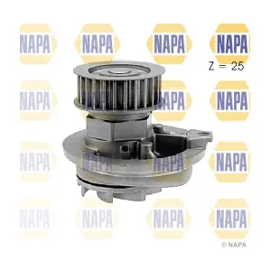 NAPA NWP1407