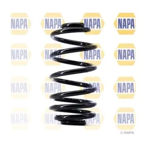 NCS1418 NAPA