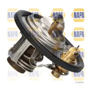 NAPA NTH1313