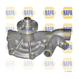 NAPA NWP1281