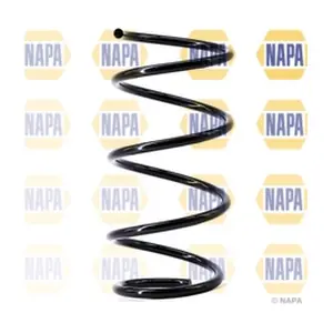NCS1431 NAPA