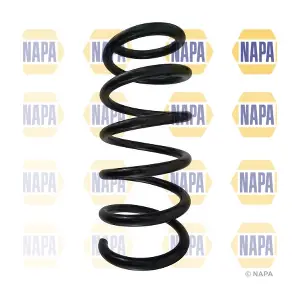 NCS1641 NAPA