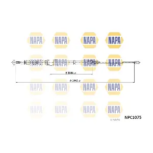 NPC1075 NAPA