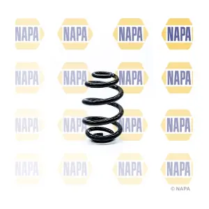 NCS1171 NAPA