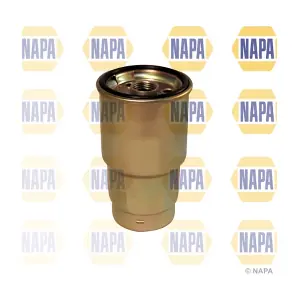 NAPA NFF2024