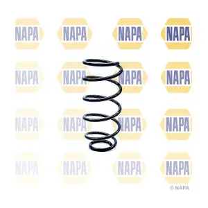 NCS1225 NAPA