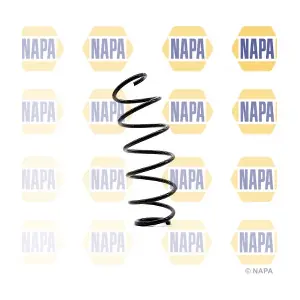 NCS1317 NAPA