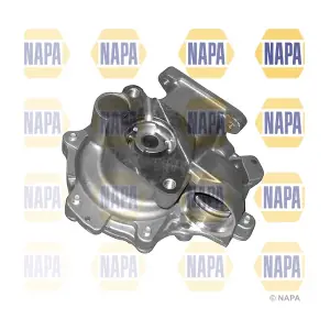 NAPA NWP1100