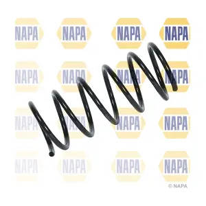 NCS2024 NAPA
