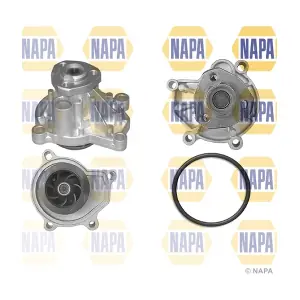 NAPA NWP1036