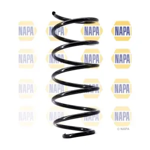 NCS1538 NAPA