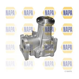 NAPA NWP1242