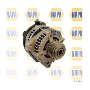NAL1225 NAPA