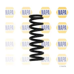 NCS1559 NAPA