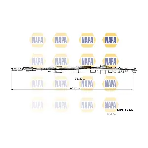 NAPA NPC1246