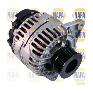 NAL1099 NAPA