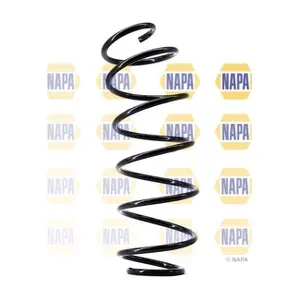 NCS1543 NAPA