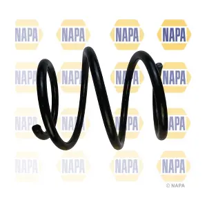 NAPA NCS1818