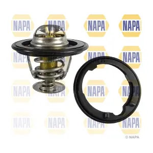 NTH1189 NAPA