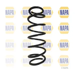 NCS1571 NAPA