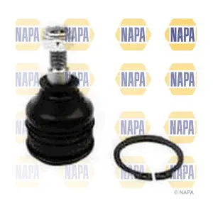 NST0195 NAPA