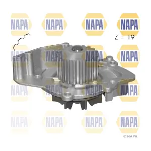 NAPA NWP1141