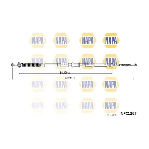 NPC1267 NAPA